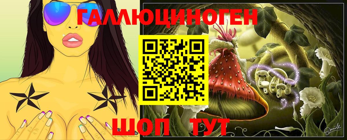 Галлюциногенные грибы GOLDEN TEACHER  Вход с VPN  Долгопрудный 