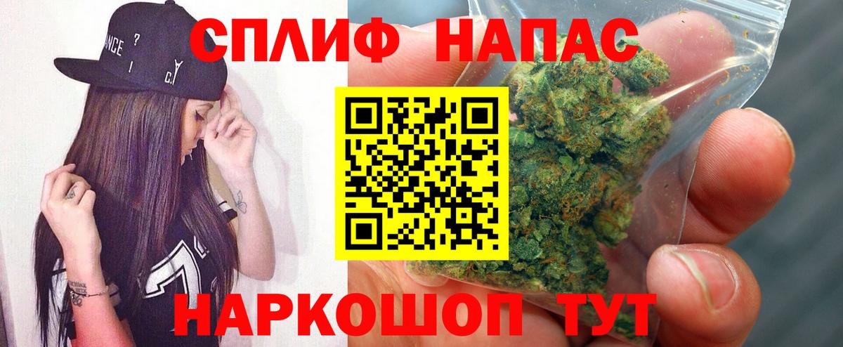 Бошки Шишки планчик Долгопрудный